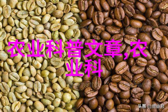 我和皮带轮的故事转动记如何让我的生活不再停滞