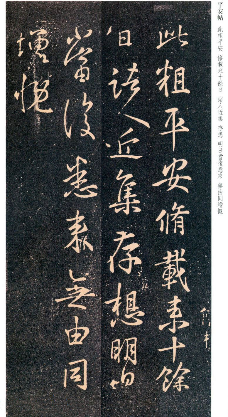花盆种菜-小巧空间的大棚如何在花盆中成功种植蔬菜
