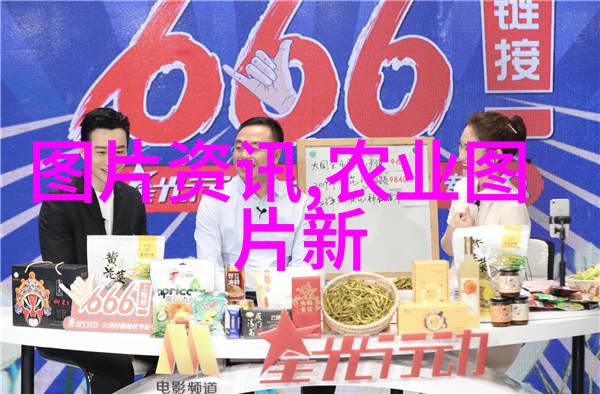 环境保护与生产力提升有何关系