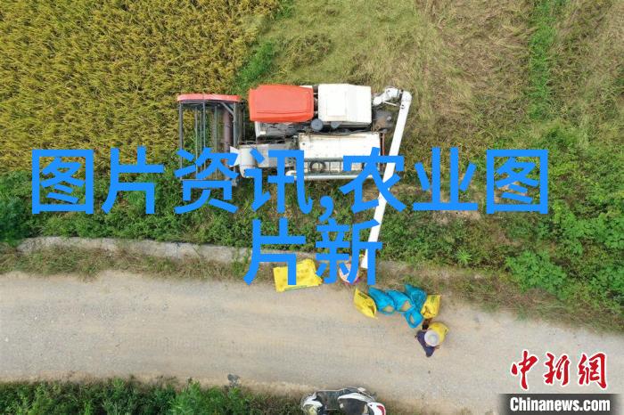 2021缅甸战乱最新消息-火药味浓厚2021年缅甸冲突的新一轮爆裂