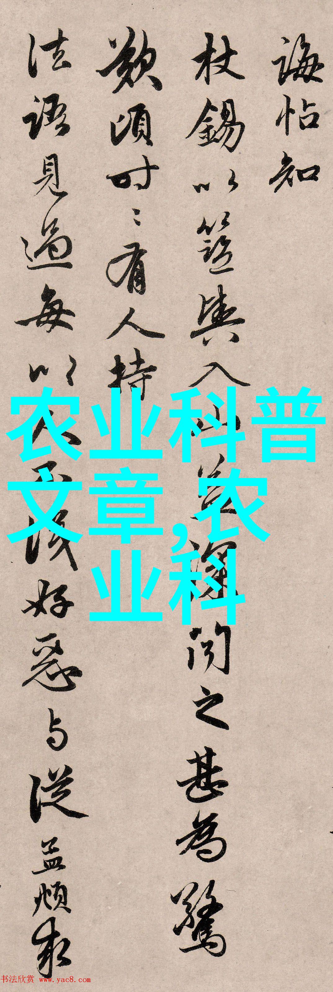 养护技巧让你的郁金香绽放得更久