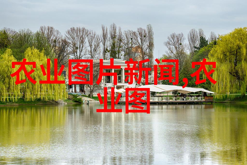 升降机的智慧运作背后的技术与创新