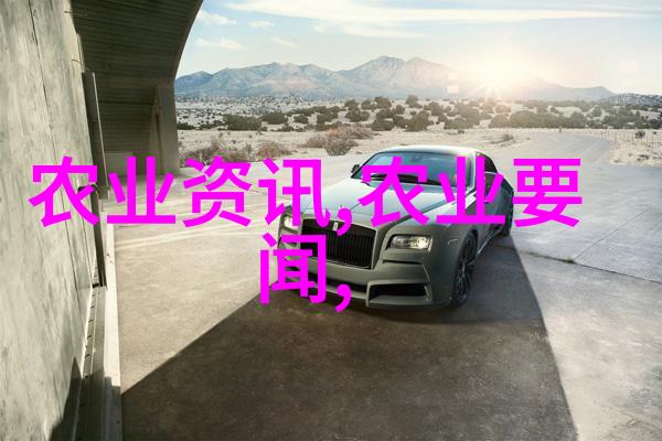 皮带机-旋转的力量揭秘工业生产中的皮带传动系统