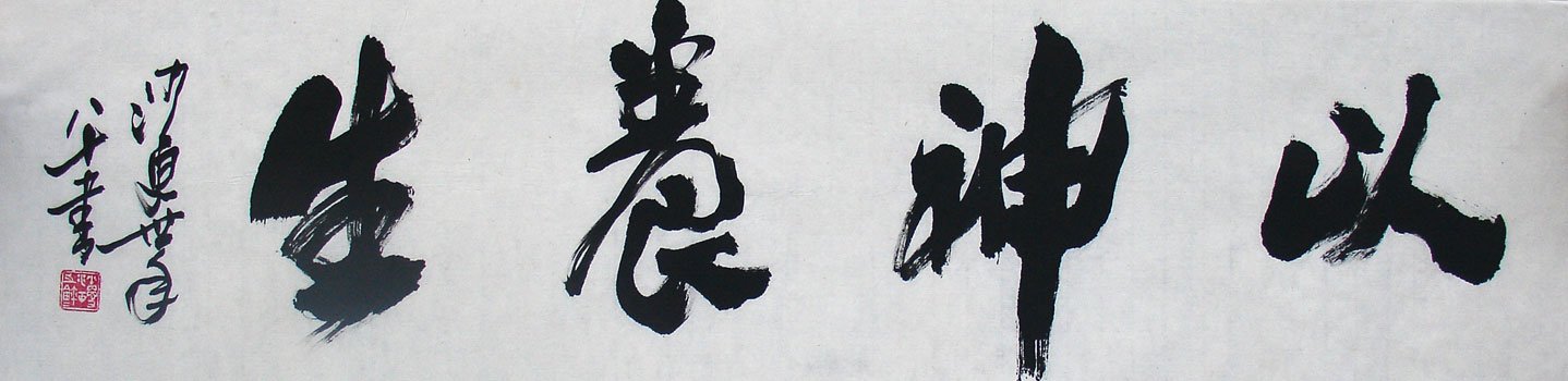 蟾蜍养殖-蛙类养护艺术与经济效益探究