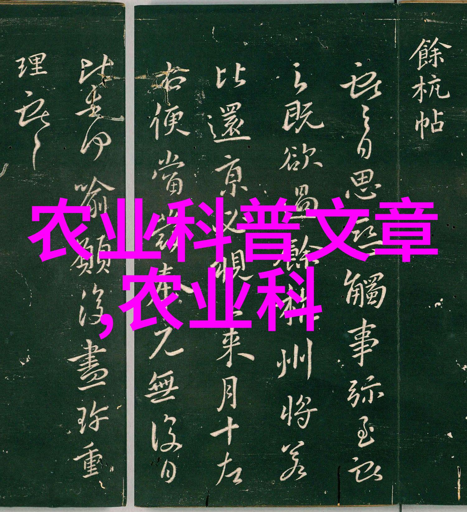 乙草胍与乙酰氨基酚同时使用会产生什么样的药物相互作用吗