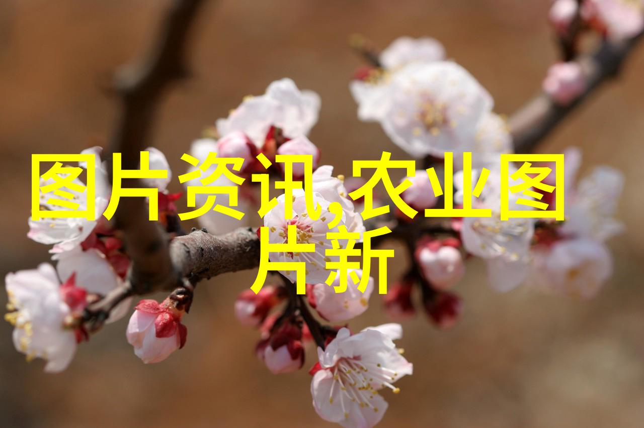 选树赚钱揭秘高收益且易管理的果树种类
