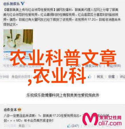 惹婚我是如何不小心撮合了邻居姐姐和我的故事