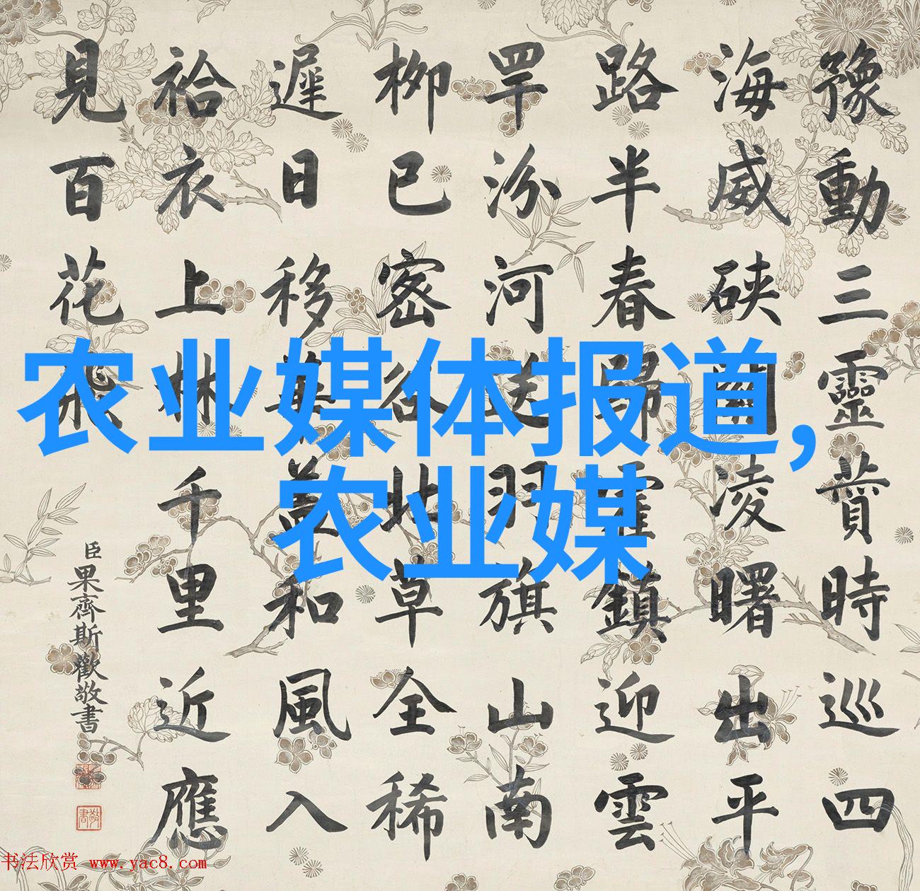 斗南鲜花批发平台我来告诉你这里的花儿比天空还要美