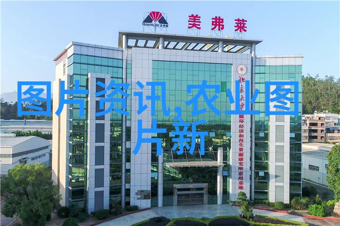 夏日消暑秘籍凉皮机的诱惑与实用性