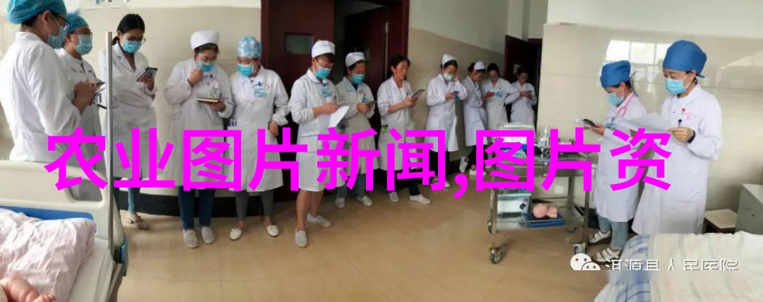 种植花卉注意事项及养护技巧总结