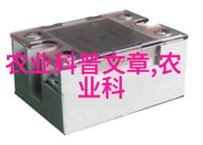 牧场上的悠扬牛羊的和谐共舞