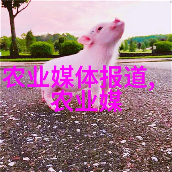 苗木网上的灌木丛美化庭院的好choice