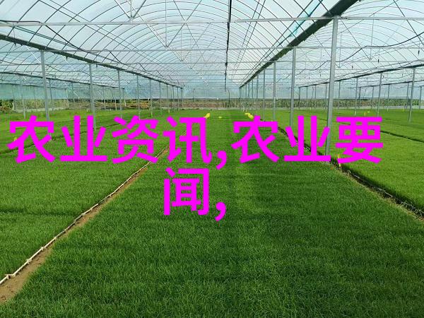 小家庭种菜我和老婆的菜园趣事录