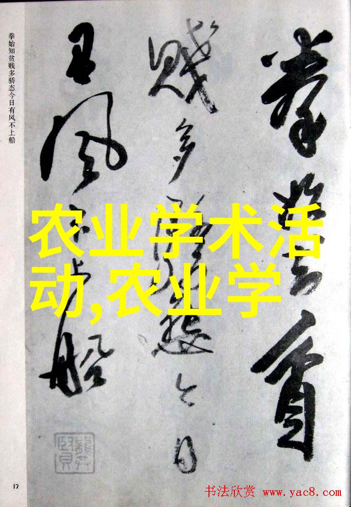 十大养胃茶秘籍助您轻松拥抱健康生活