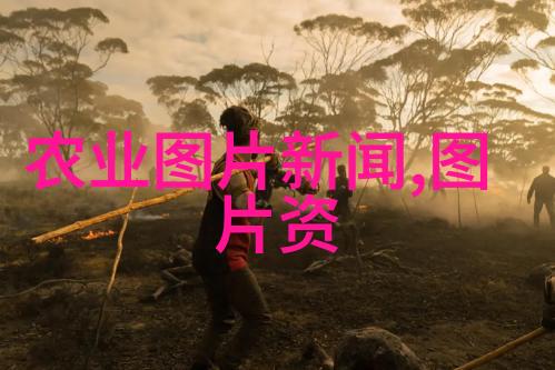茶花之谜爱与绝望的交响曲