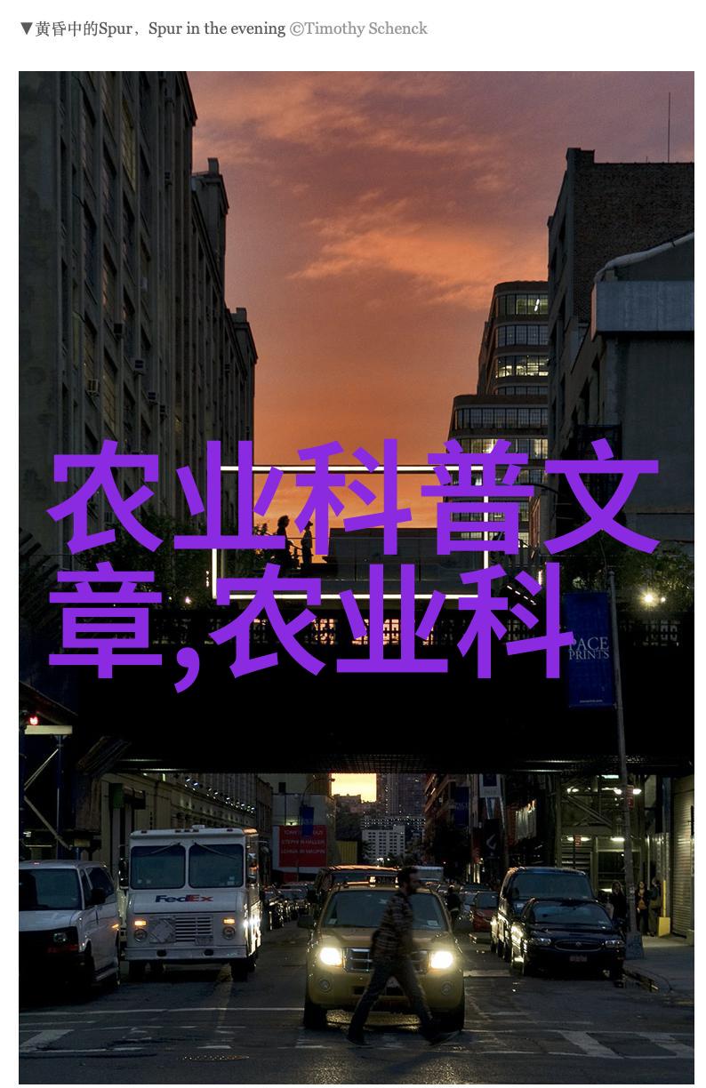 金钱与泥土种植最赚钱作物的逆袭