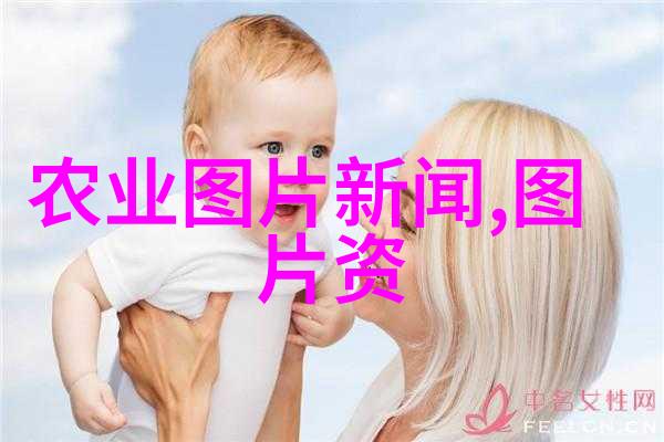 我国苹果贮运流通品质显著提高 具体情况如何看这里