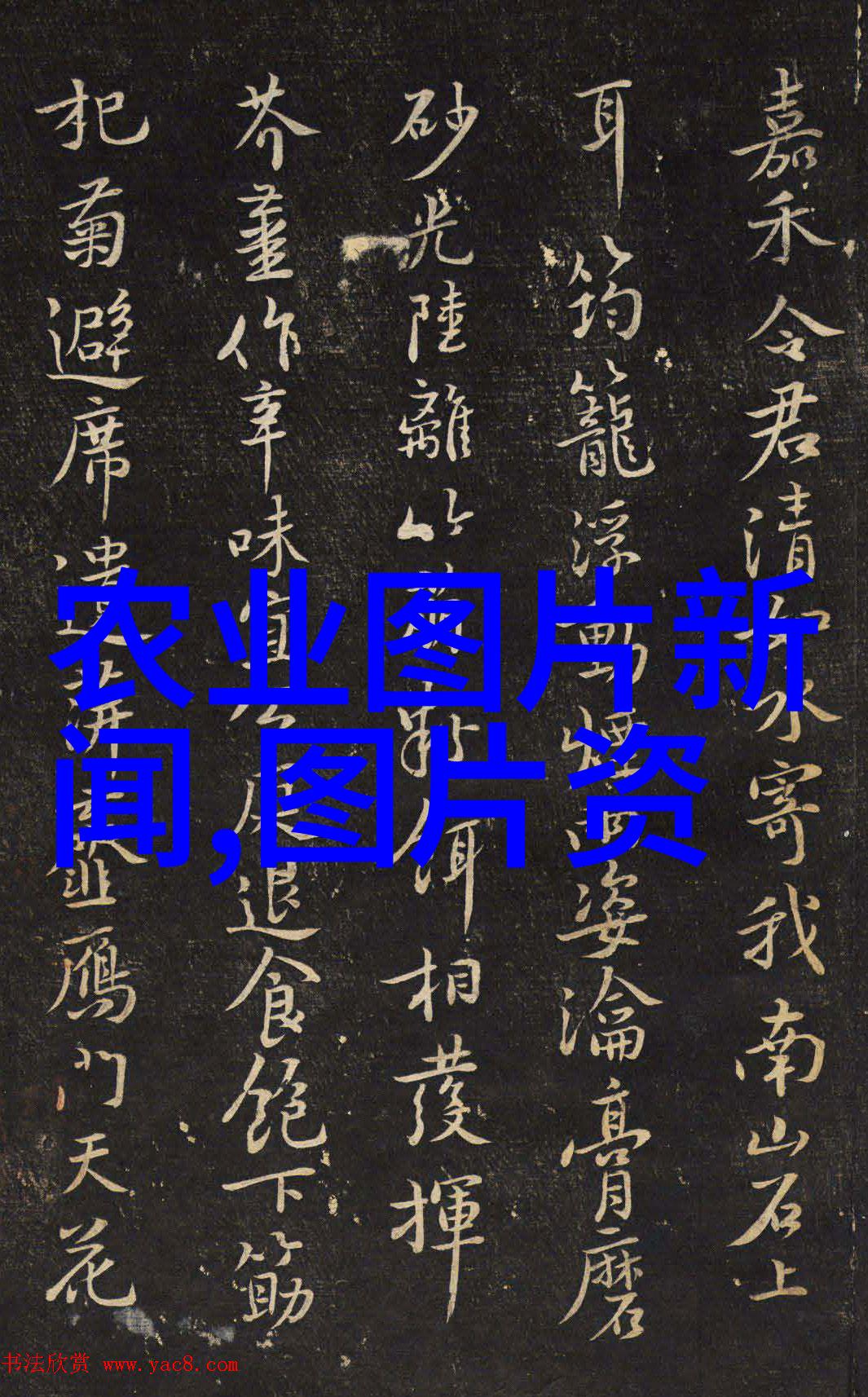 金线莲种植我的园中奇迹