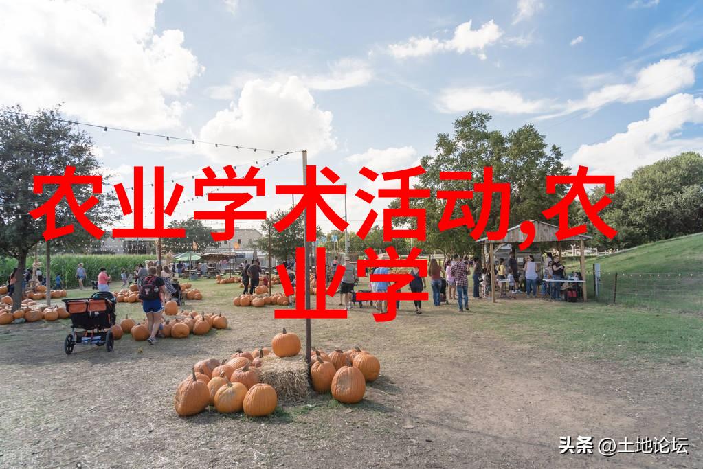 江西宝贵药材红花的香气与价值