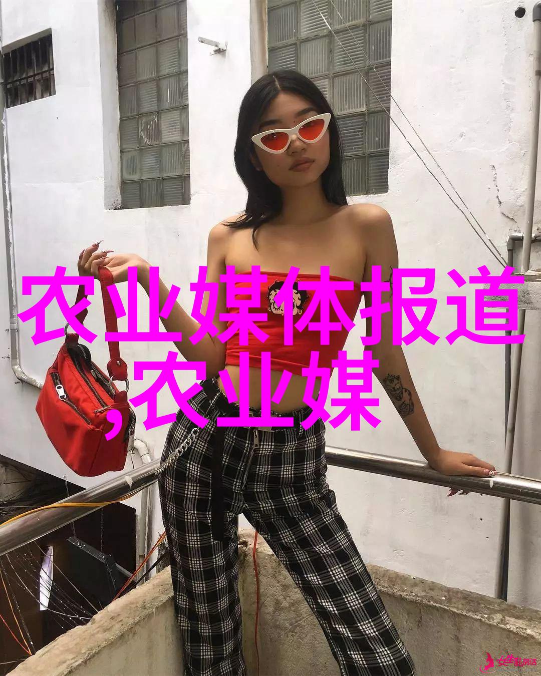 雪菜的奇幻冒险从冰箱到梦想