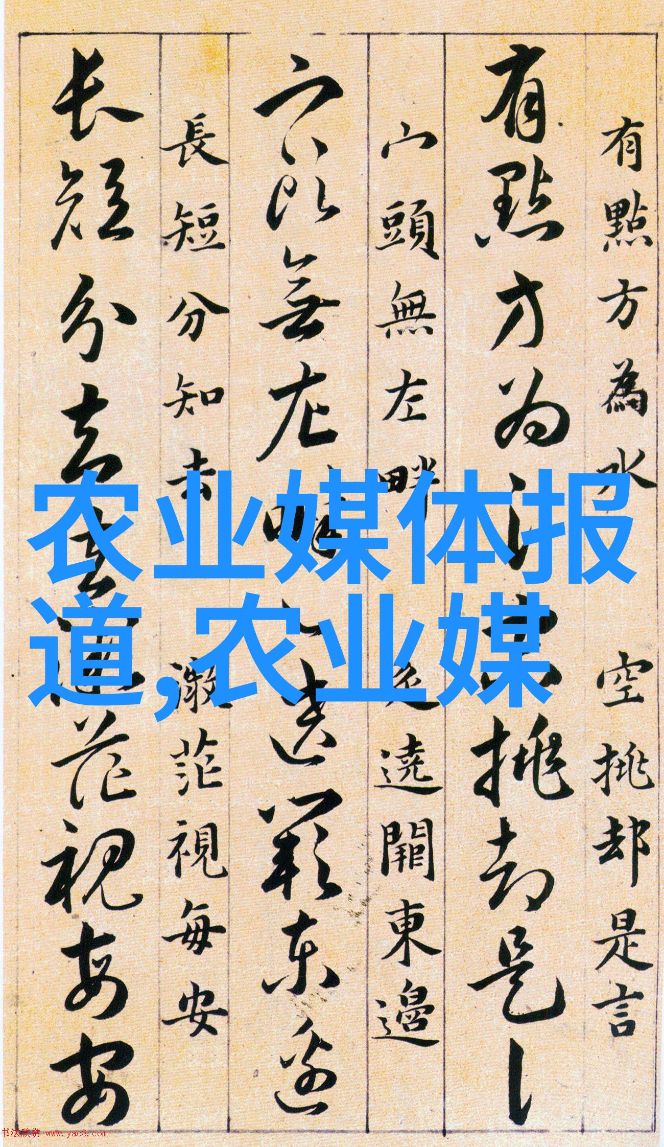 土蜜蜂养殖与管理技巧精粹