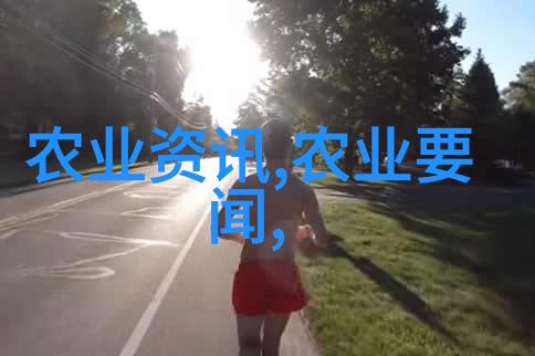 天竺桂小秘密我在网上发现18公分天竺桂的超实惠价格