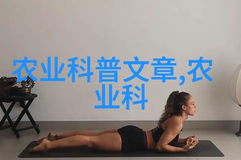 黑金子浅谈乌龙和腊梅系列的魅力