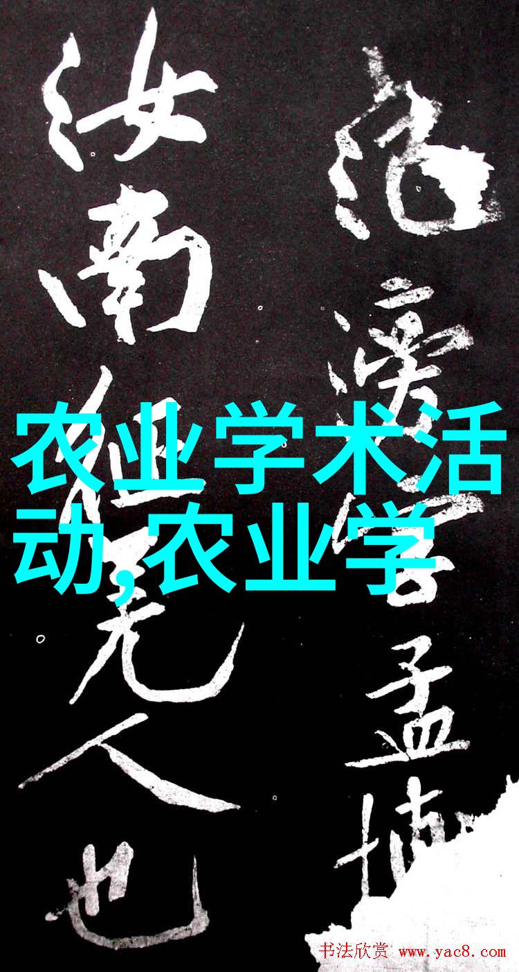 飞哥养蜂技术我的蜂友日记如何跟随飞哥学养出蜜香满载的蜂箱