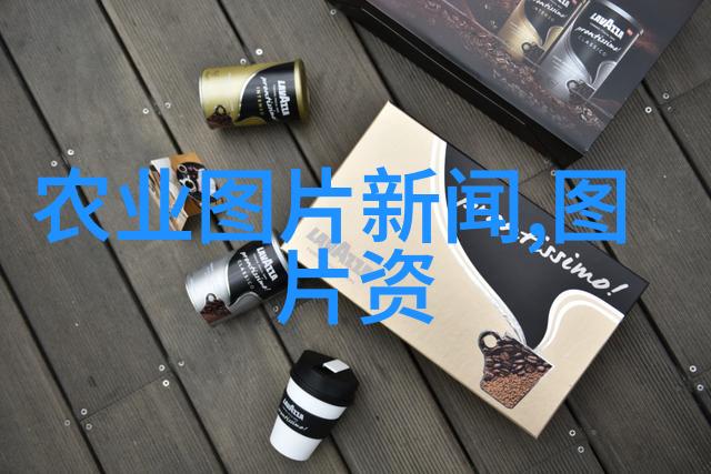 农村致富之道探秘最赚钱的种植项目