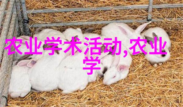 10公分鸡爪槭价格亲自去超市一探究竟