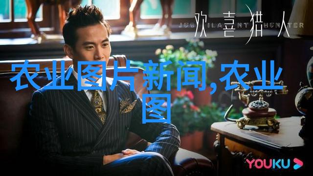 茶的专业知识从植物学到烹饪艺术的深度探究
