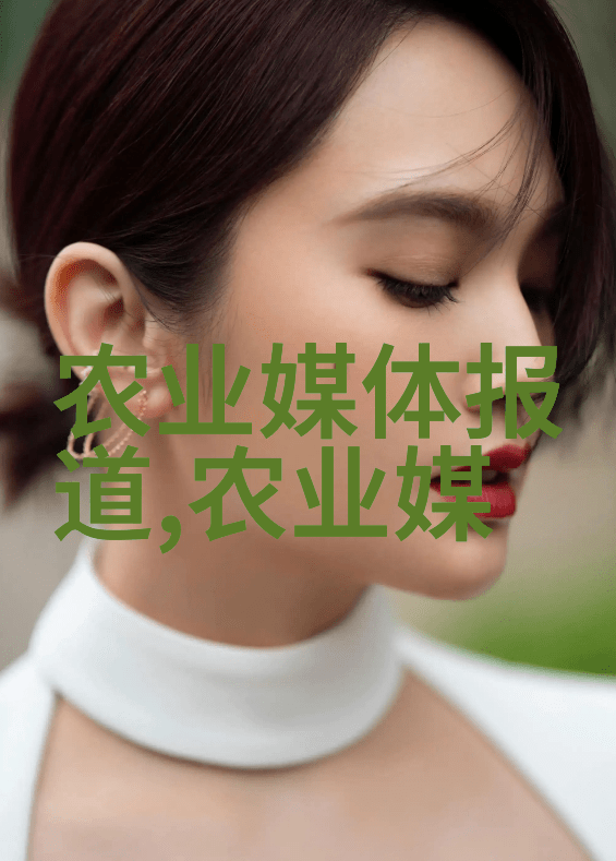 小户型也能养出好菜室内植物和盆栽技巧分享