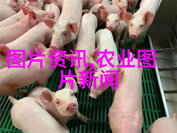 农业科普活动_关于农业科普知识的活动_农业科普知识宣传材料