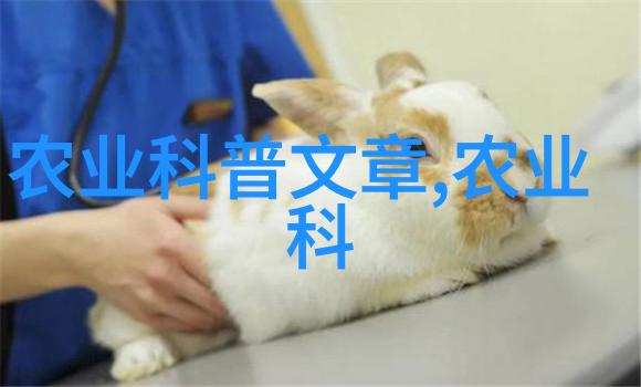 品茶趣事我来告诉你那些超级棒的白茶品种排名前十名