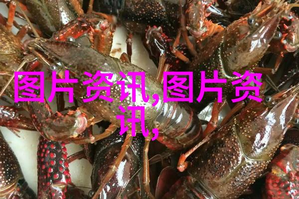 头顶上的小山脉疙瘩头的故事与魅力