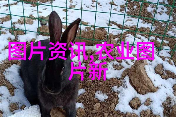 在农村环境中绿色环保技术对小型工业企业尤其重要吗为什么呢