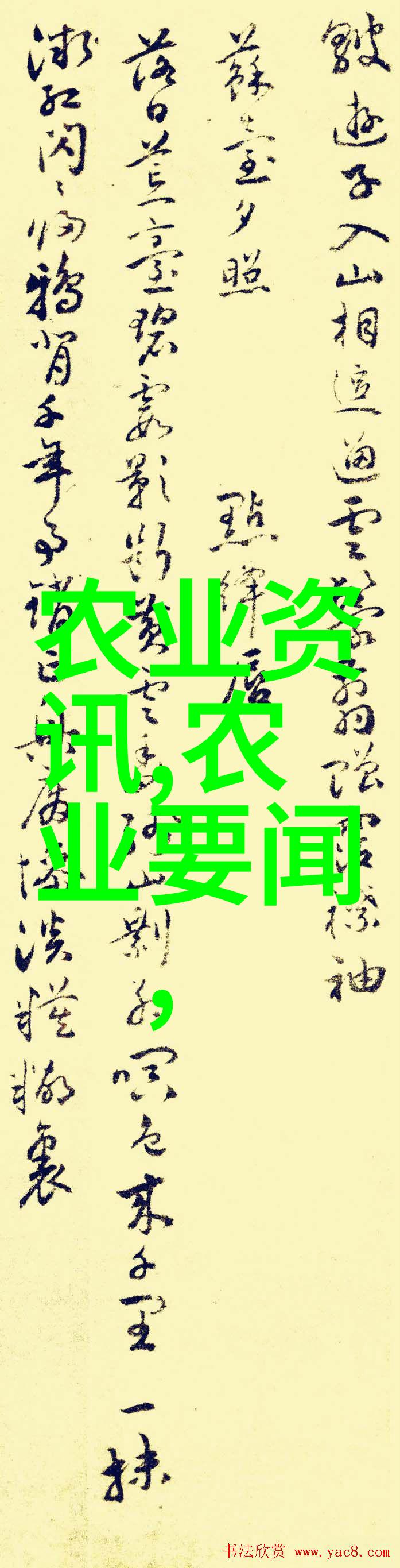 养牛合作公司我这边的奶牛妈妈们最近表现得真不错