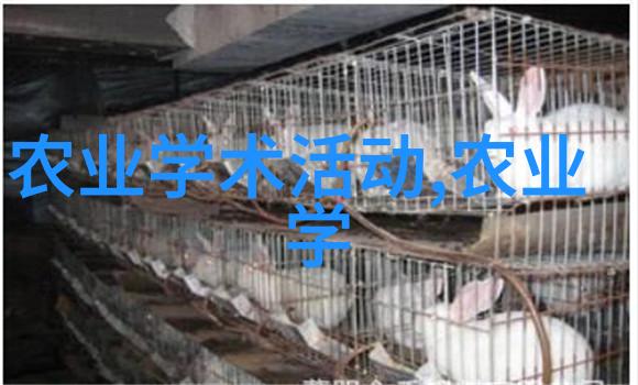 玉米地面处理解锁肥沃土壤的秘密