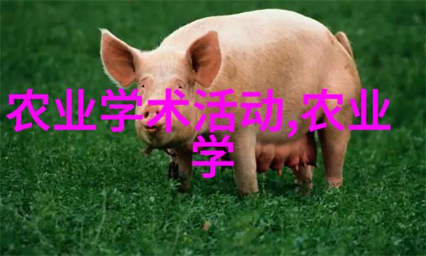 品味传承探索中国茶文化的深度与魅力