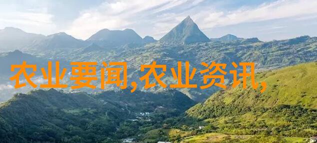 空中花园无土栽培有机蔬菜新时代的绿色选择