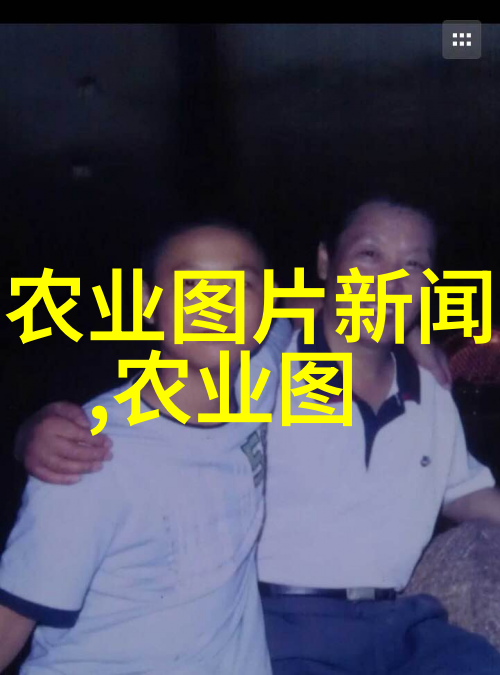 茶花树在家中传统观念与现代生活之间的纠葛