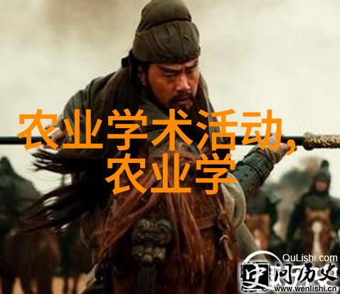 中国茶叶的巅峰之作一壶四亿贵的香醇风味