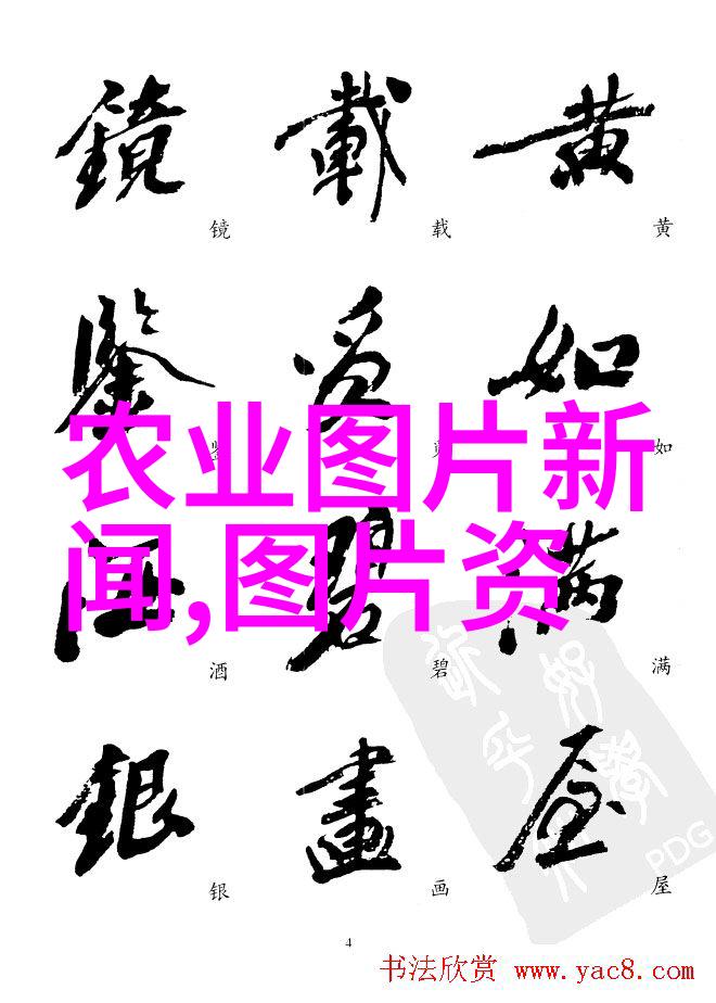班主任的宠物兔子一段温馨的水视频分享
