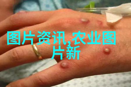 绿意盎然不必破费揭秘高性价比的盆栽花卉批发渠道