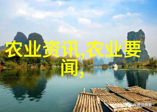 茶叶之谜揭秘六大茶类的奥秘