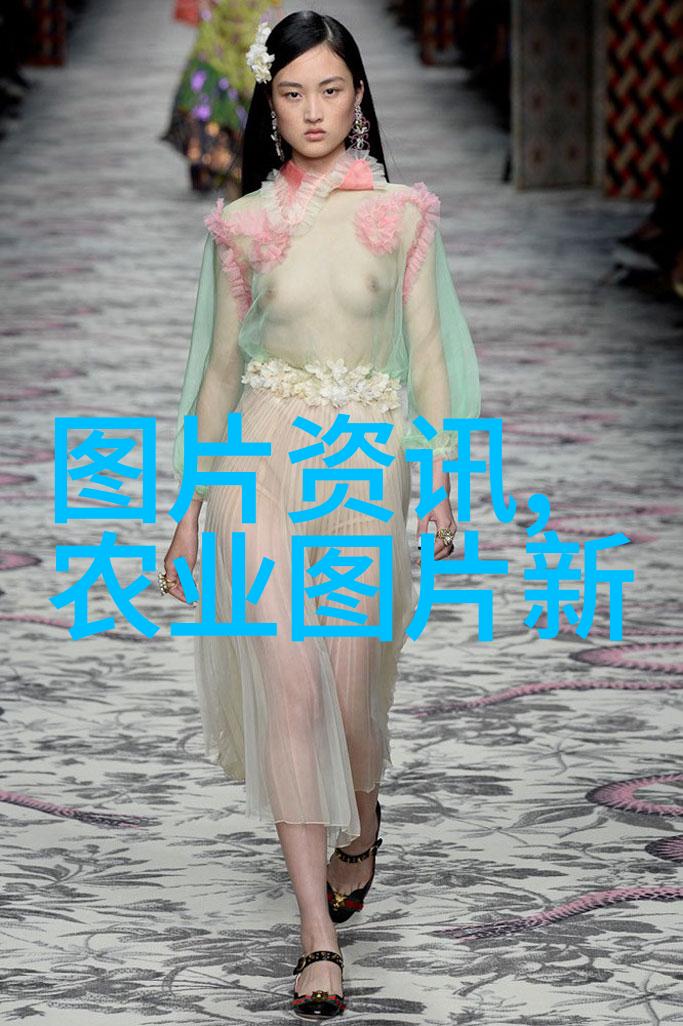 鲜花盛宴都市边缘的秘密花海