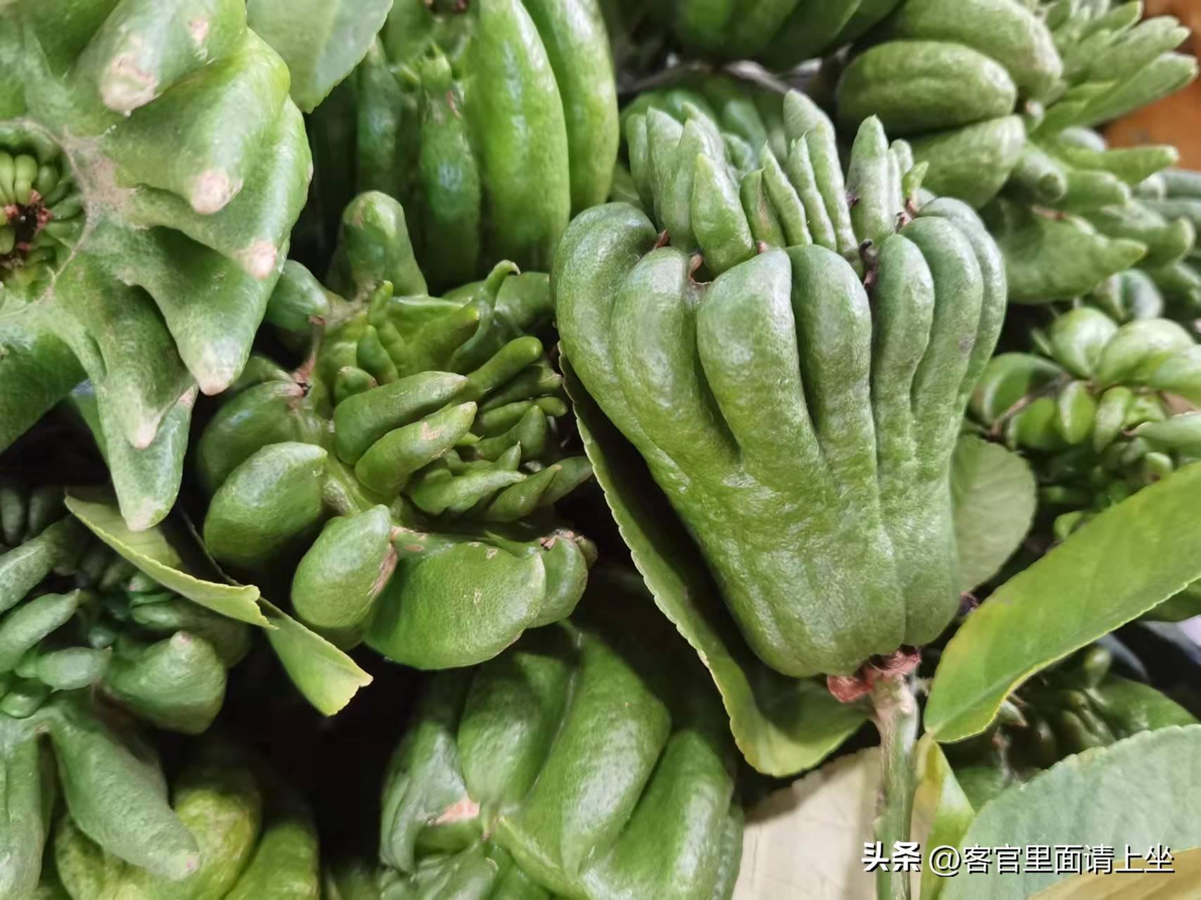 丰收季节财源滚滚的十大赚钱作物