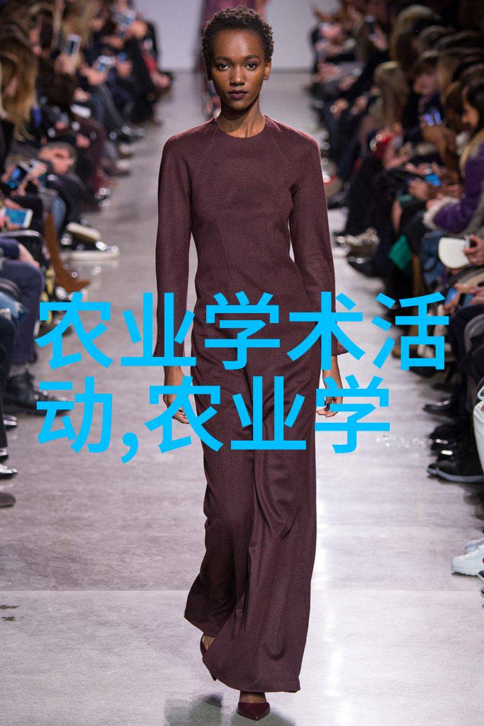 软刺玫瑰-纤细的痛楚探索软刺玫瑰背后的情感象征