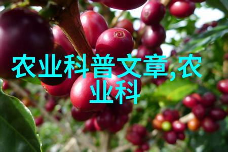 蜂箱的双重效能探索养两群蜂的可能性