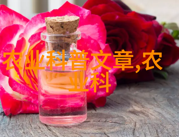 茶园春色揭秘中国茶叶种植的艺术与科技
